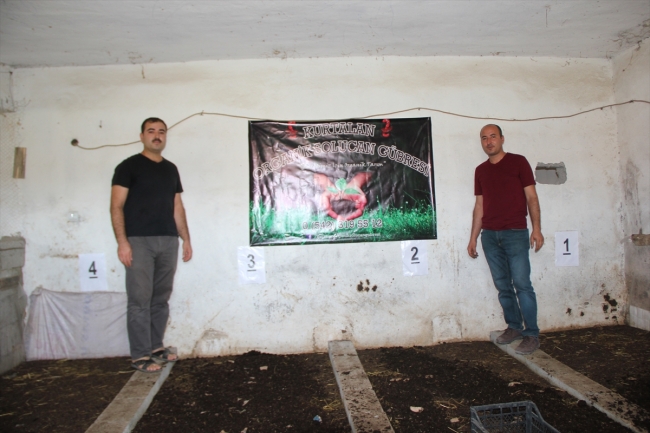 Hobi amaçlı başladığı solucan gübresi üretimi gelir kapısı oldu